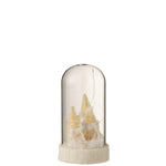 Momona Gifts & Decorations | J-Line Stolp Hoog Led Herten Glas/Resin Wit Small